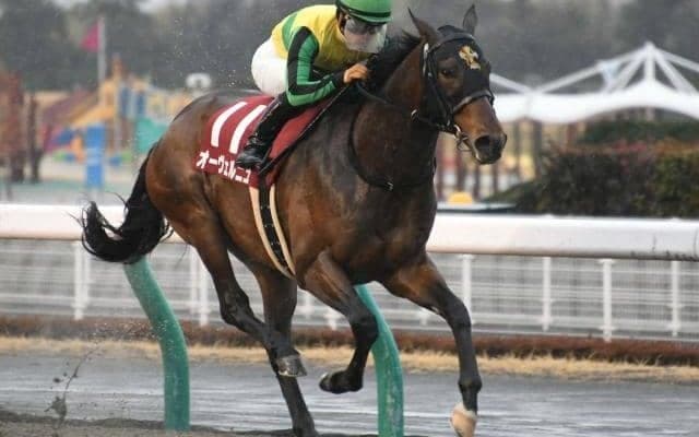 21年の東海S・平安S覇者 新天地で復活なるか/川崎マイラーズ注目馬