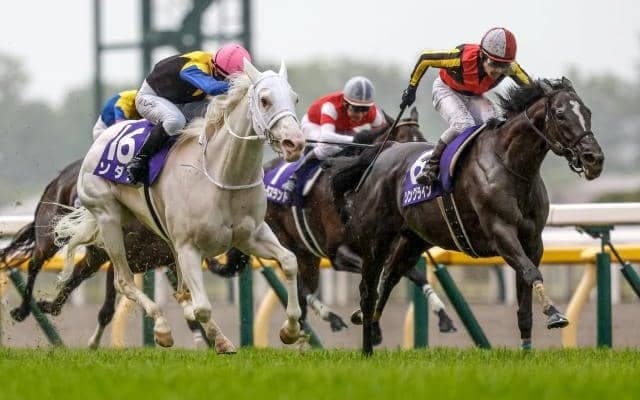 ソングラインやジャックドールなど豪華メンバー集結 安田記念出走想定馬19頭