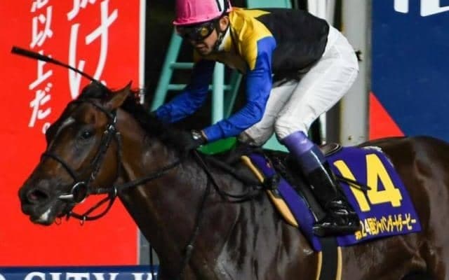 平安S25年ぶりVへ 武豊騎手が50代初のJRAダート重賞制覇に挑む