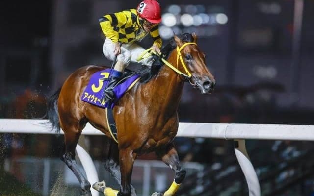 【川崎・川崎マイラーズ結果】アイウォールが逃げ切って重賞初制覇！