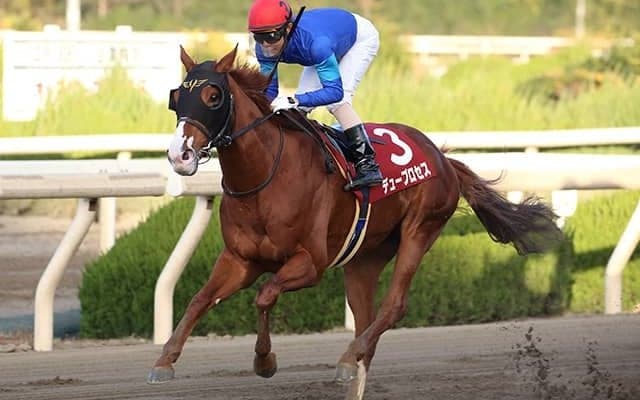 19年の兵庫GT覇者デュープロセスが登録抹消 今後は地方競馬に移籍へ