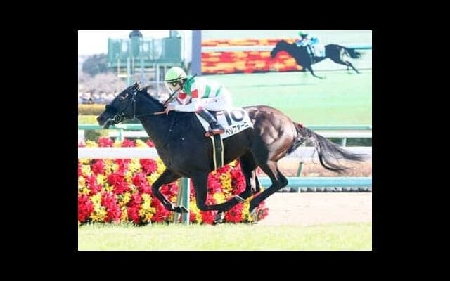 「１強ムード」のオークスで気になる良血馬２頭 デビュー３戦目での制覇が期待される、名牝の血を引く馬も