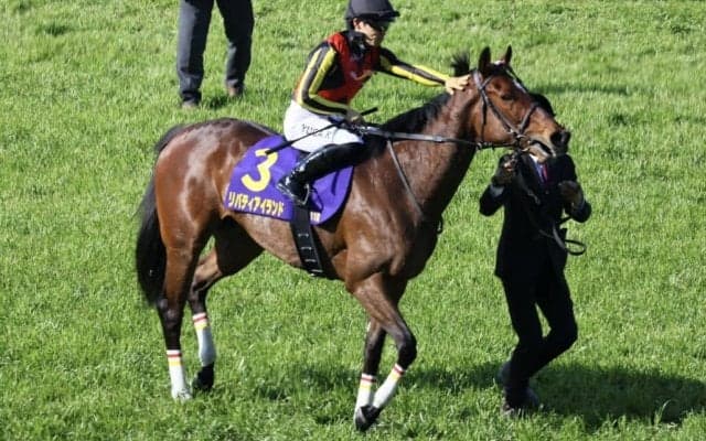 【オークス】出走馬の調教後の馬体重