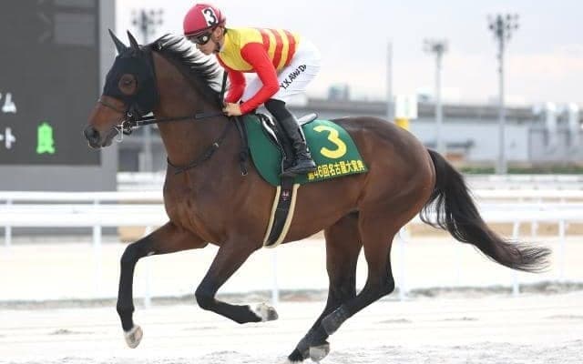 【平安S予想】6歳以上は苦戦傾向!? 人気馬も該当する年齢という壁