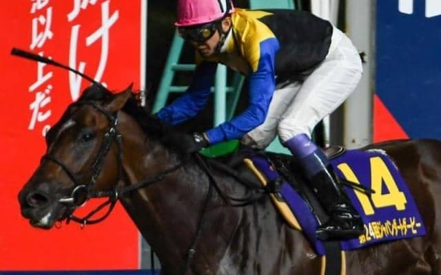 中央の右回りはベスト舞台 平安Sでノットゥルノが真価発揮だ