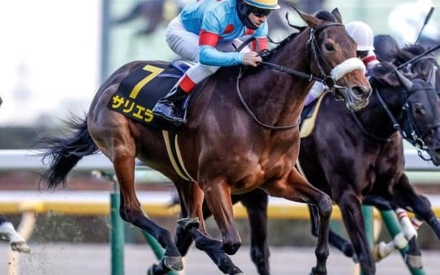 サリエラやプラダリアなど 目黒記念出走想定馬20頭