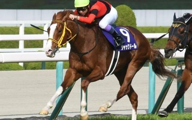 ジャックドールやセリフォスなどGI馬10頭集結 安田記念出走想定馬21頭