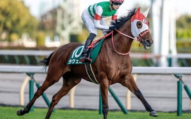 【オークス予想】有力馬「12頭」の馬体解説！ リバティアイランドを負かしうる魅力の穴馬とは