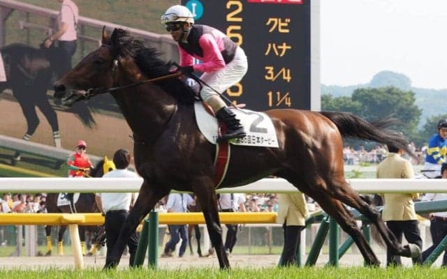 竹之下智昭騎手が引退…「ダービーに乗せてもらえたことは最高の思い出」