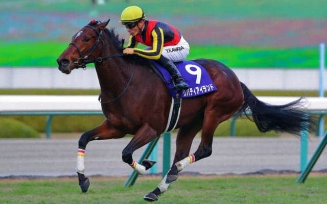 【オークス】牝馬二冠へ向け…リバティアイランドは3枠5番へ