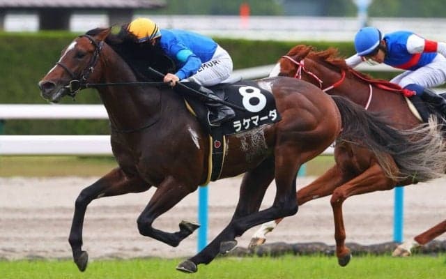 【メルボルントロフィー】ラケマーダが抜け出して単勝1.9倍対決を制する