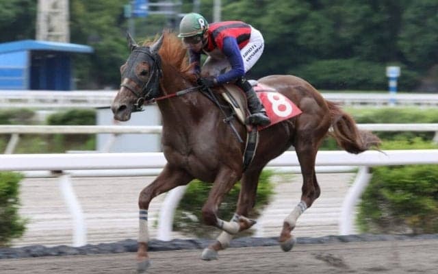 【高知・山桃特別】ユメノホノオが7連勝…吉原「良い感じで高知優駿に」
