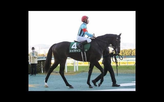 日本ダービーに向けてパワーアップの兆しを見せる伏兵トップナイフ「チャンスはある」と陣営も虎視眈々