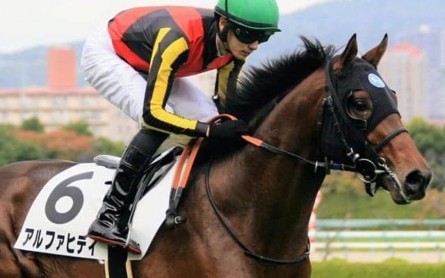 【日曜京都8R予想】兄に皐月賞馬＆ダービー馬 超良血がブリンカー着用＆距離短縮で一変だ