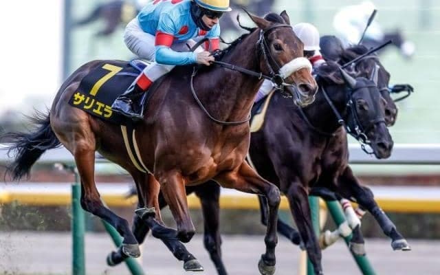 【目黒記念】サリエラ、プラダリアらが登録