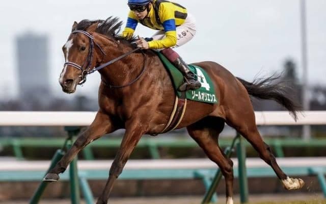 競馬の祭典・日本ダービー ソールオリエンスの無敗二冠なるか/今週の競馬界の見どころ