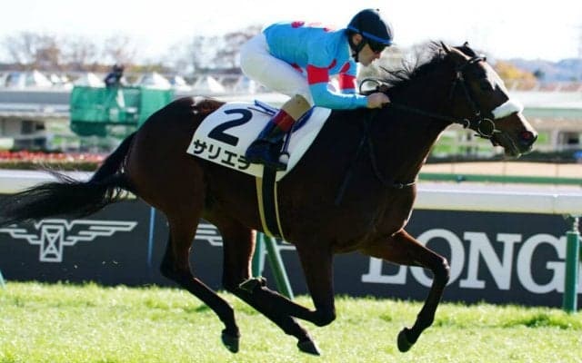 【目黒記念登録馬】良血サリエラなど23頭