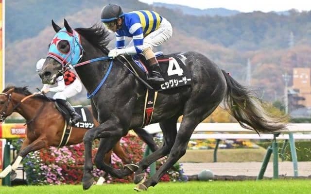 【葵S見どころ】ビッグアーサー産駒ビッグシーザーの5連勝なるか