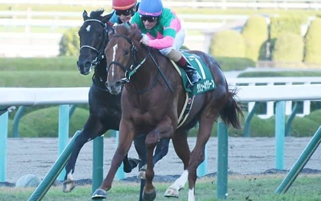 悲運の死遂げた兄の思い背負い 京都2歳S覇者がダービーで厩舎にGI・2勝目届ける