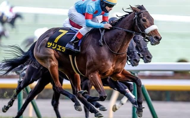 【目黒記念想定騎手】サリエラはC.ルメール騎手、ボッケリーニは浜中俊騎手