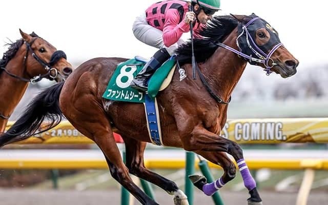 武豊騎手が2度目のダービー連覇へ  7度目Vはポテンシャル高い新パートナーと目指す