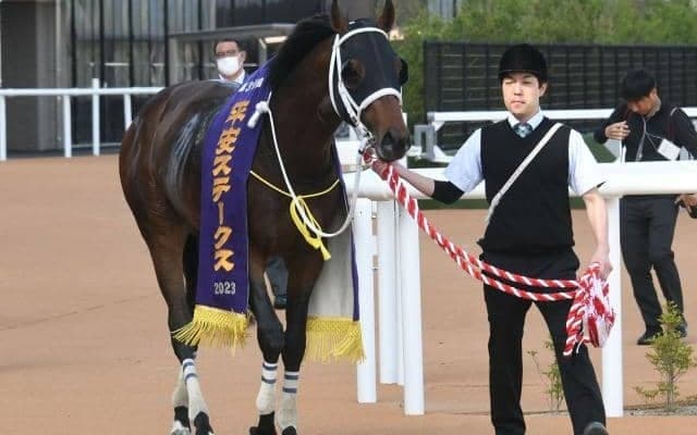 キンカメ系が成功する配合構成 アーモンドアイやリバティアイランドも同じパターン