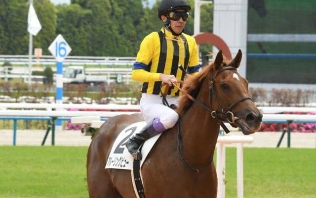 【葵S展望】牝馬の活躍が多い3歳スプリント重賞、アルーリングビューに期待したい