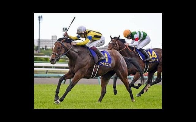 ソールオリエンスの二冠達成の可能性は？　日本ダービーの行方が見える「３歳牡馬ランキング」