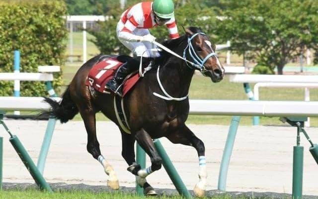 三津谷隼人騎手の引退レースで重賞初制覇 21年の京都HJ覇者マーニが地方移籍へ