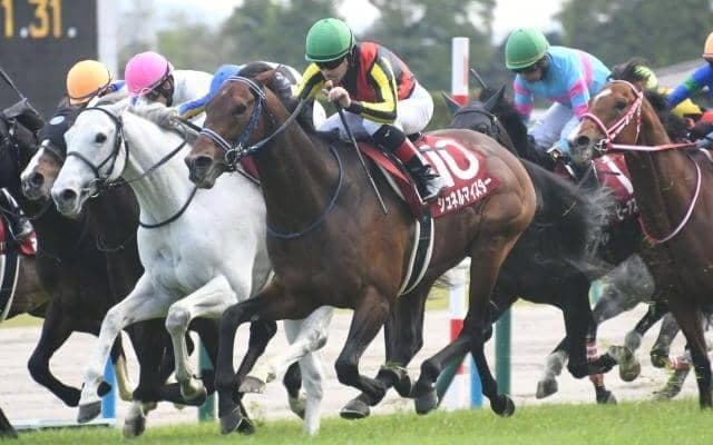 前走で重賞Vインダストリアなど3頭が除外対象 安田記念出走馬決定順