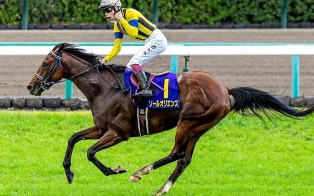 ディープ＆コントレイル超えなるか ソールオリエンスがダービーで史上最少キャリアの無敗二冠に挑む