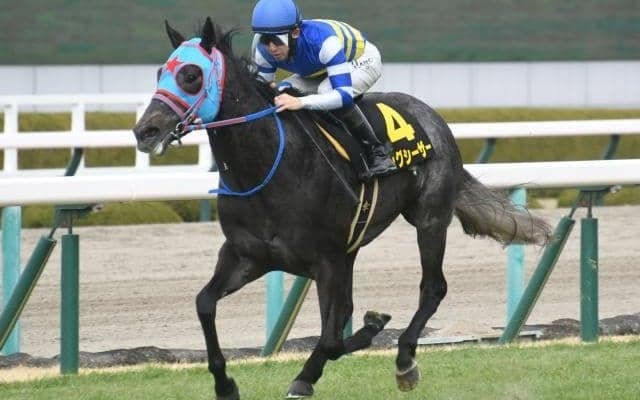 【葵S予想オッズ】ビッグシーザーが予想1番人気