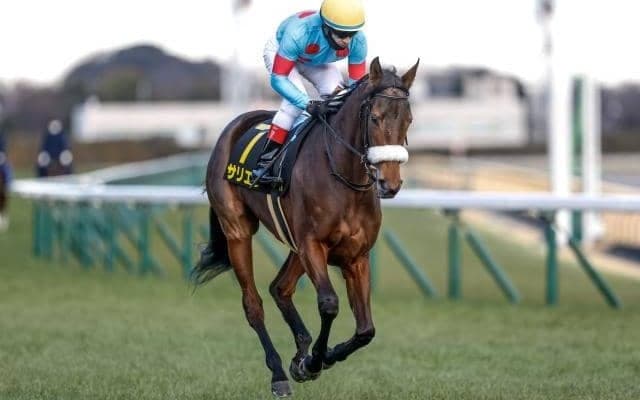 【目黒記念予想オッズ】サリエラが予想1番人気