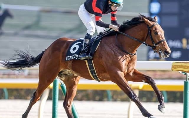 近親に04年のダービー馬 丸田恭介騎手がダービー初騎乗でドラマ作る