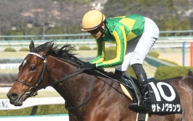 【日本ダービー展望】ディープ産駒不在は13年ぶり、後継サトノダイヤモンド産駒のサトノグランツに期待したい