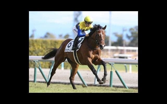 白熱の日本ダービー「打倒ソールオリエンス」が秘かに期待されている馬とは？