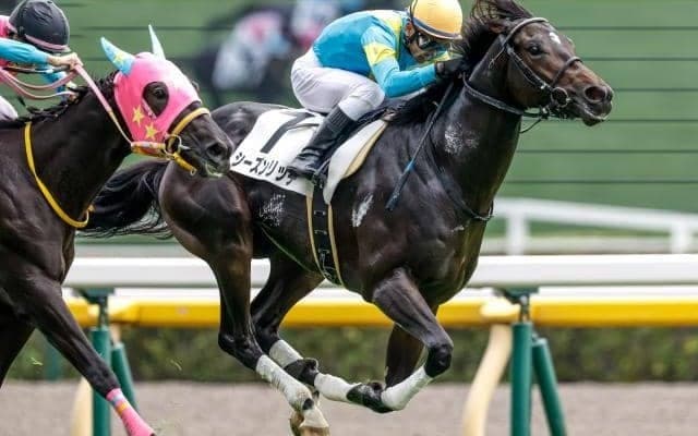 戸崎圭太騎手「勝者の景色を見てみたい」 9度目の日本ダービーで悲願達成へ