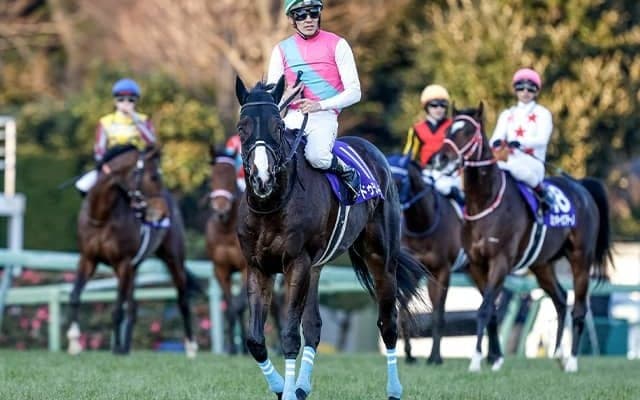 史上初のダービー父仔3代制覇へ ドゥラメンテ産駒2頭が偉業にチャレンジ