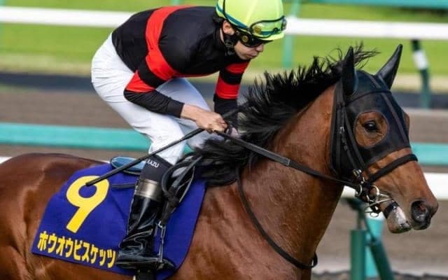 48年ぶりに6月生まれの日本ダービー馬誕生なるか “唯一の2歳馬”に注目
