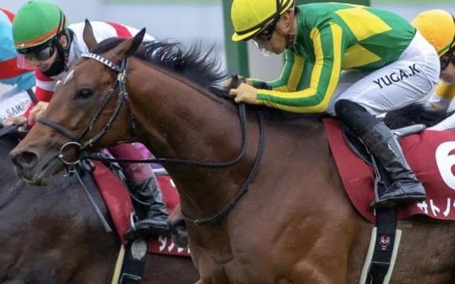 日本ダービー未勝利のダンジグ系が目が離せない存在!? 今年の注目馬は…