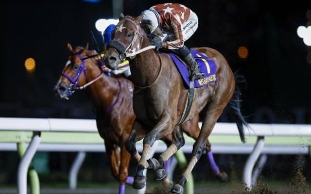 【大井・大井記念結果】セイカメテオポリスが差し切って重賞連勝！