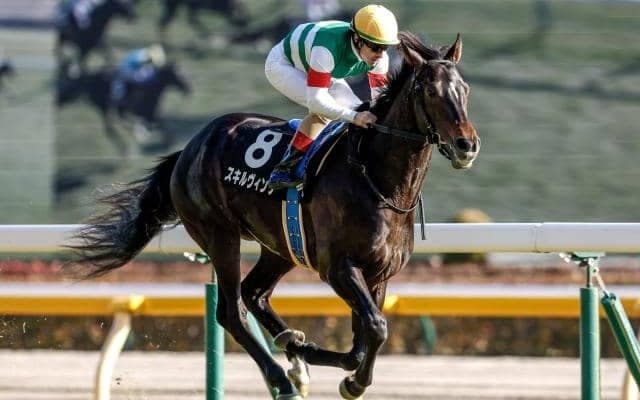 【日本ダービー予想】皐月賞組or青葉賞組はどちらを評価？ 穴党AIは興味深い馬をチョイス