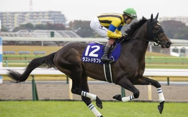 【目黒記念展望】ダービーデーの最終レース、差しや追い込みが届く