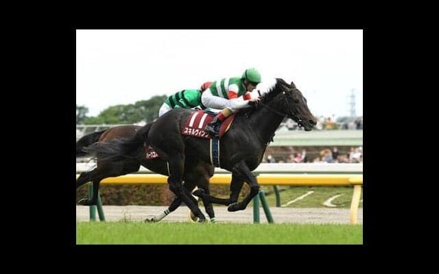 日本ダービー「２強」の一角、スキルヴィングの血統の信頼度は？ 父仔３代制覇を狙うドゥラメンテ産駒にも注目