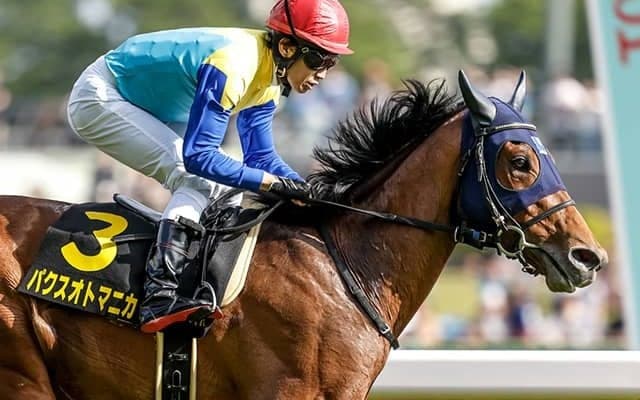 ヴィクトワールピサ産駒初のダービー制覇へ プリンシパルS逃げ切りの注目馬が登場