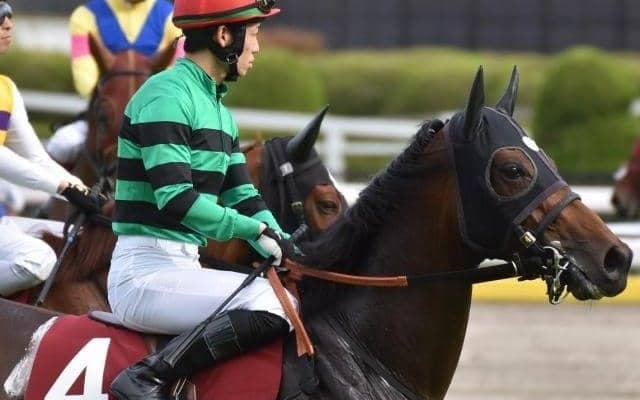 ハーツコンチェルトが血の後ろ盾で上位進出!? 東京芝2400mにまつわる複勝率100％データ