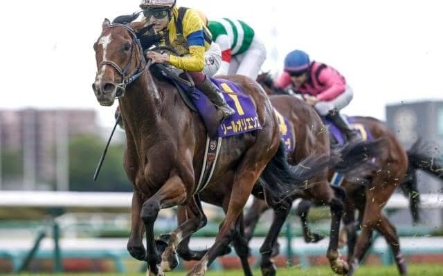 【日本ダービー枠順確定】ソールオリエンスは3枠5番、スキルヴィングは1枠2番