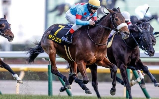 【目黒記念出走馬・騎手確定】サリエラ＆C.ルメール騎手、ライラック＆M.デムーロ騎手など18頭