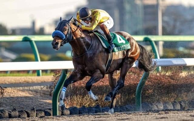 【門別・北海道スプリントC出走予定馬】ダンシングプリンス、ケイアイドリーら