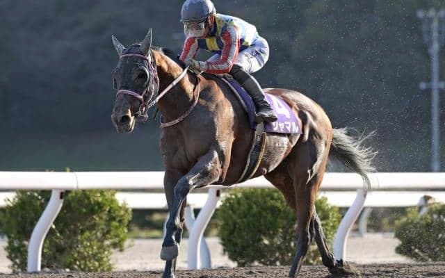 【浦和・さきたま杯出走予定馬】シャマル、コンシリエーレら